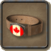 Archivo:Cinturon canadiense.png