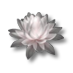 Flor de loto.png