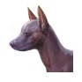 Archivo:Dayofthedead 2015 horse3.png