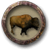 Cazar búfalos