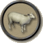 Archivo:Sheeps.png