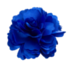 Archivo:Flor azul.png
