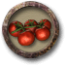 Recoger tomates